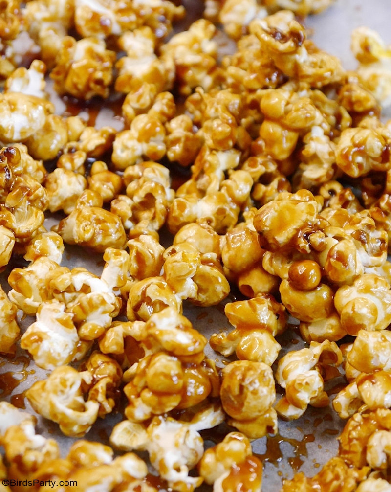 Receta de palomitas de maíz con caramelo salado: ¡receta rápida, fácil y económica para una noche de cine de los Oscar, una barra de palomitas de maíz, un aperitivo del Super Bowl o una idea de regalo comestible para una fiesta!  por BirdsParty.com @BirdsParty #popcorn #caramelcorn #caramelpopcorn #saltedcaramel #saltedpopcorn #saltedcaramelpopcorn #popcornbar #movienight #oscars #superbowl #valentinesday #snacks #partyfavors #partyideas #ediblegifts #receta #popcornprintables