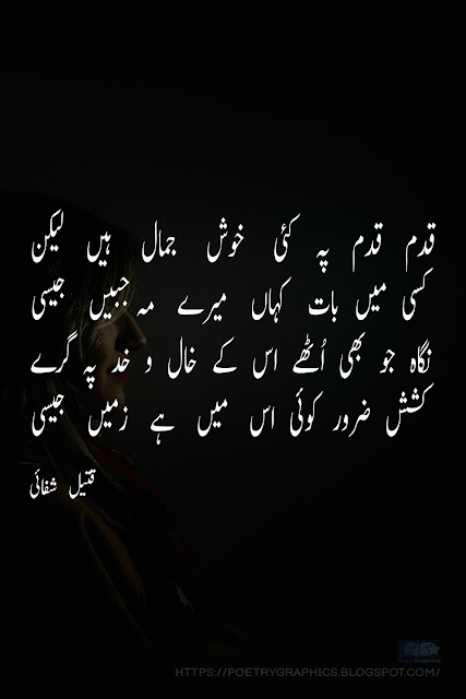 poetry dp in urdu