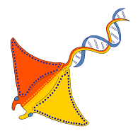 Ocean Genomes Lab