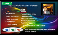 I will do high quality data entry, web research, data scraping, data mining