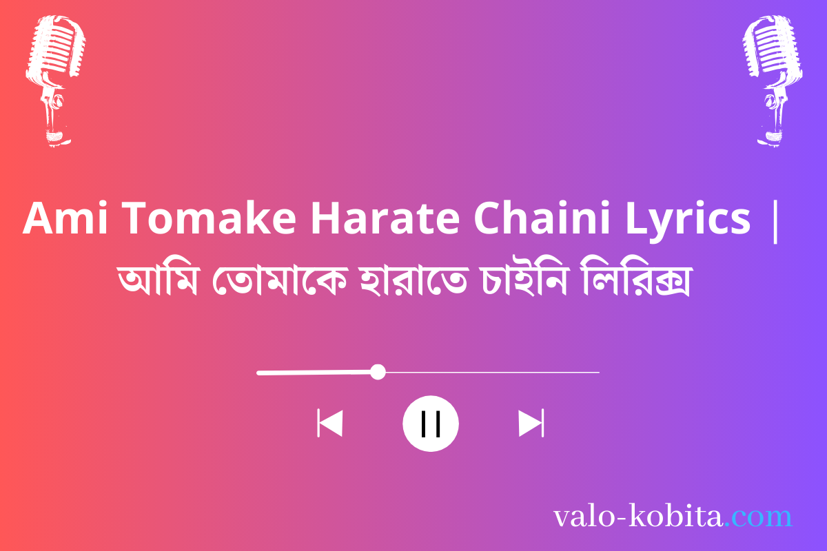 Ami Tomake Harate Chaini Lyrics | আমি তোমাকে হারাতে চাইনি লিরিক্স