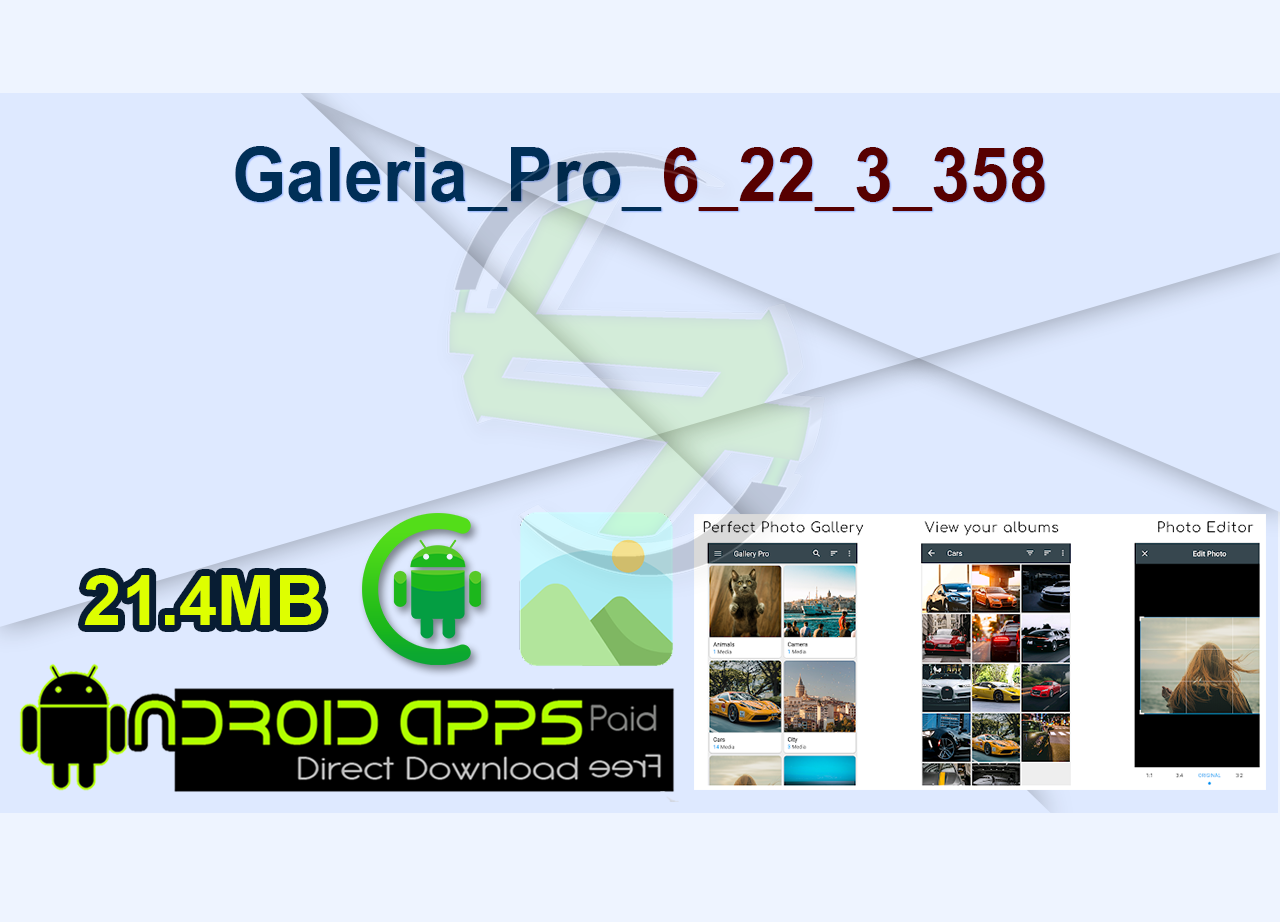 Galeria Pro 6_22_3_358