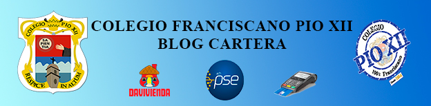 INFORMACIÓN GENERAL CARTERA