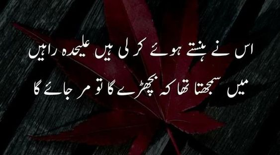 Sad Shayari in Urdu 2 lines on Bicharna