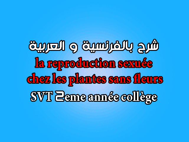 la reproduction sexuée chez les plantes (les végétaux) sans fleurs