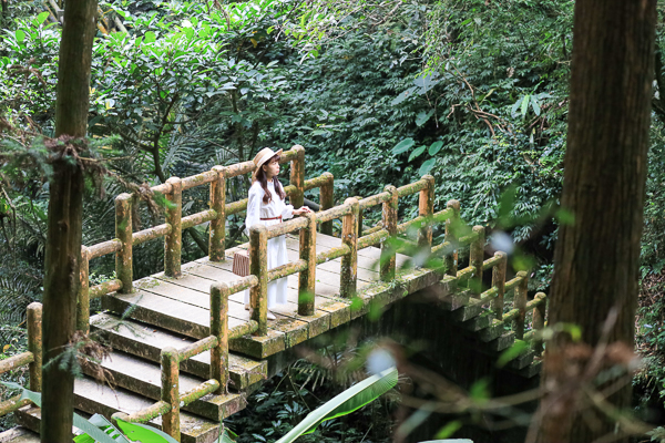 嘉義梅山仙人堀步道秘境，杉林木棧道輕鬆散步聽蟲鳴鳥叫水流聲