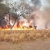 Bahia registra 85 focos de incêndio nesta quarta; Cotegipe lidera queimadas
