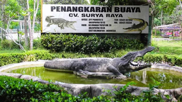 Penangkaran buaya Teritip