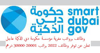 وظائف برواتب مغرية مؤسسة حكومة دبي الذكية عاجل تعلن عن توفر وظائف 2024 براتب 20001-30000 درهم