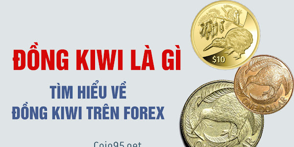 Đồng Kiwi là gì? Tìm hiểu về đồng kiwi trên Forex