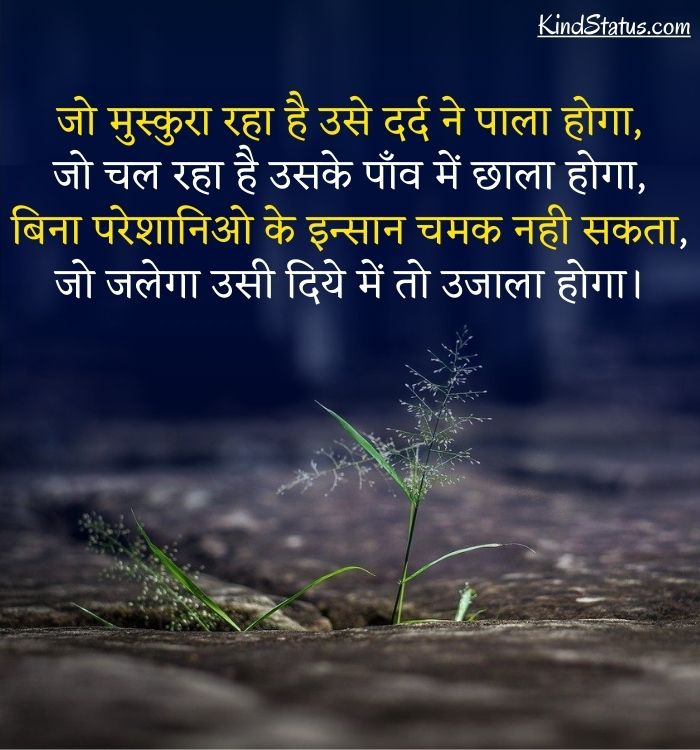 चित्र