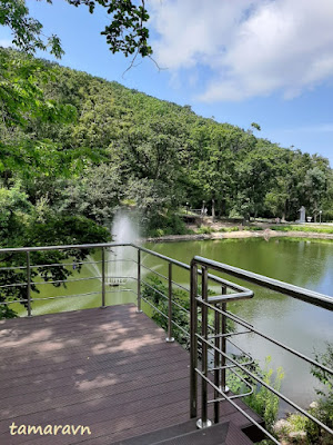 Седанка Парк (Sedanka Park) во Владивостоке