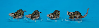 The Tomb Rats from the other side, three of them are resting on skulls.  They have brownish fur, darker along the spine