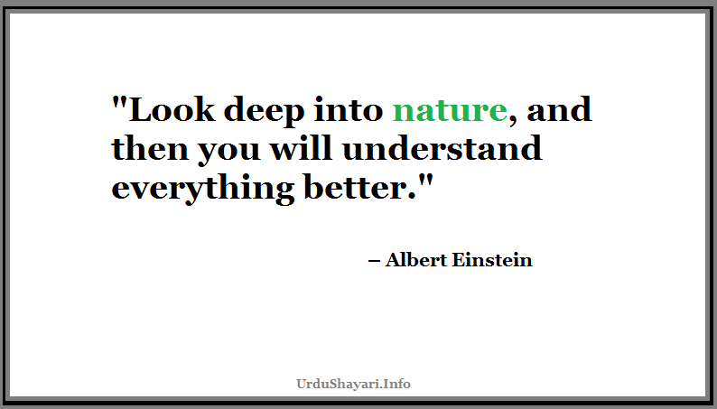 albert einsein quote on nature - deep sayings by great scientist