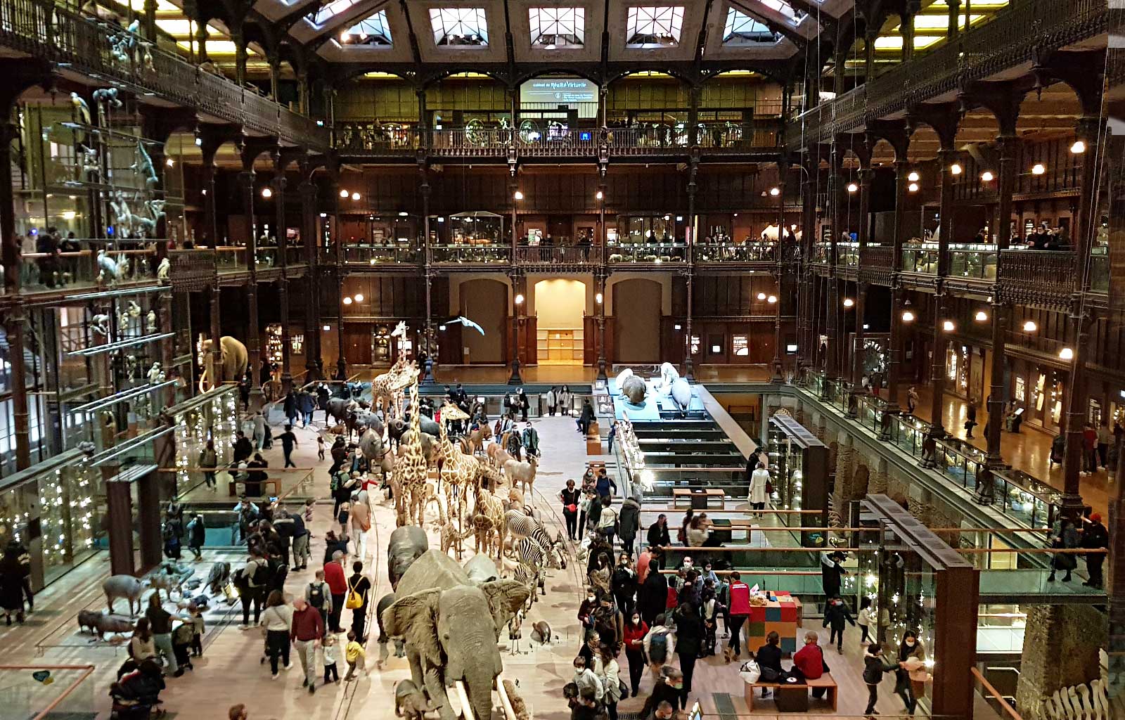 Grande Galerie de l'Evolution, Muséum National d'Histoire Naturelle