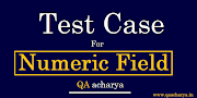 Test Cases for Numeric and Alphanumeric Field -Numeric Field Testing