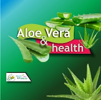 AloeVeraHealthBenefits-healthnfitnessadvise