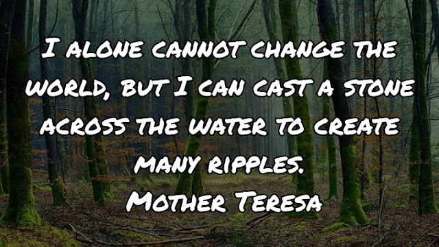 I alone cannot change the world, but I can cast a stone across the water to create many ripples. Mother Teresa