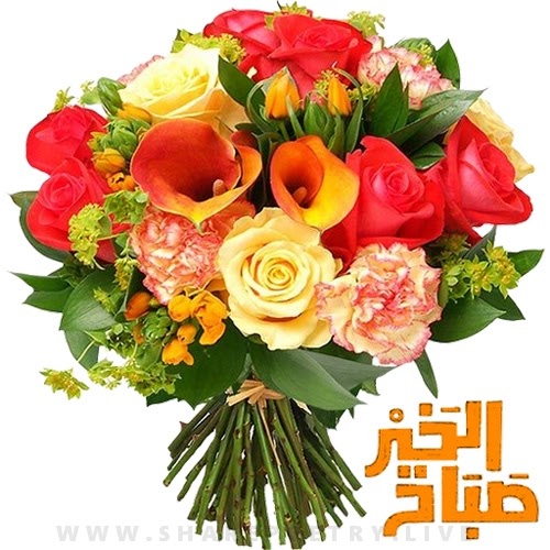flower morning images Arabic Urdu 2022