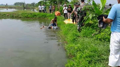 Polsek Glagah Lamongan Datangi TKP Penemuan Mayat di Area Tambak.