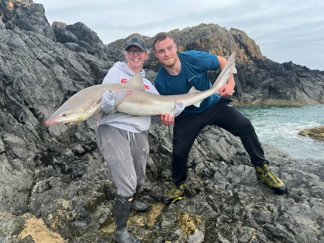 Jordan Connelly - Tope caught from the rocks on his big bait rod with a half mackerel rigged on a Pulley Rig with 6/0 cox and rawle meat hooks.