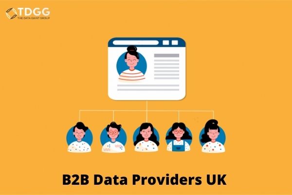 B2b data suppliers