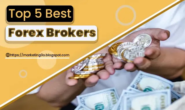 Top 5 Best Forex Brokers