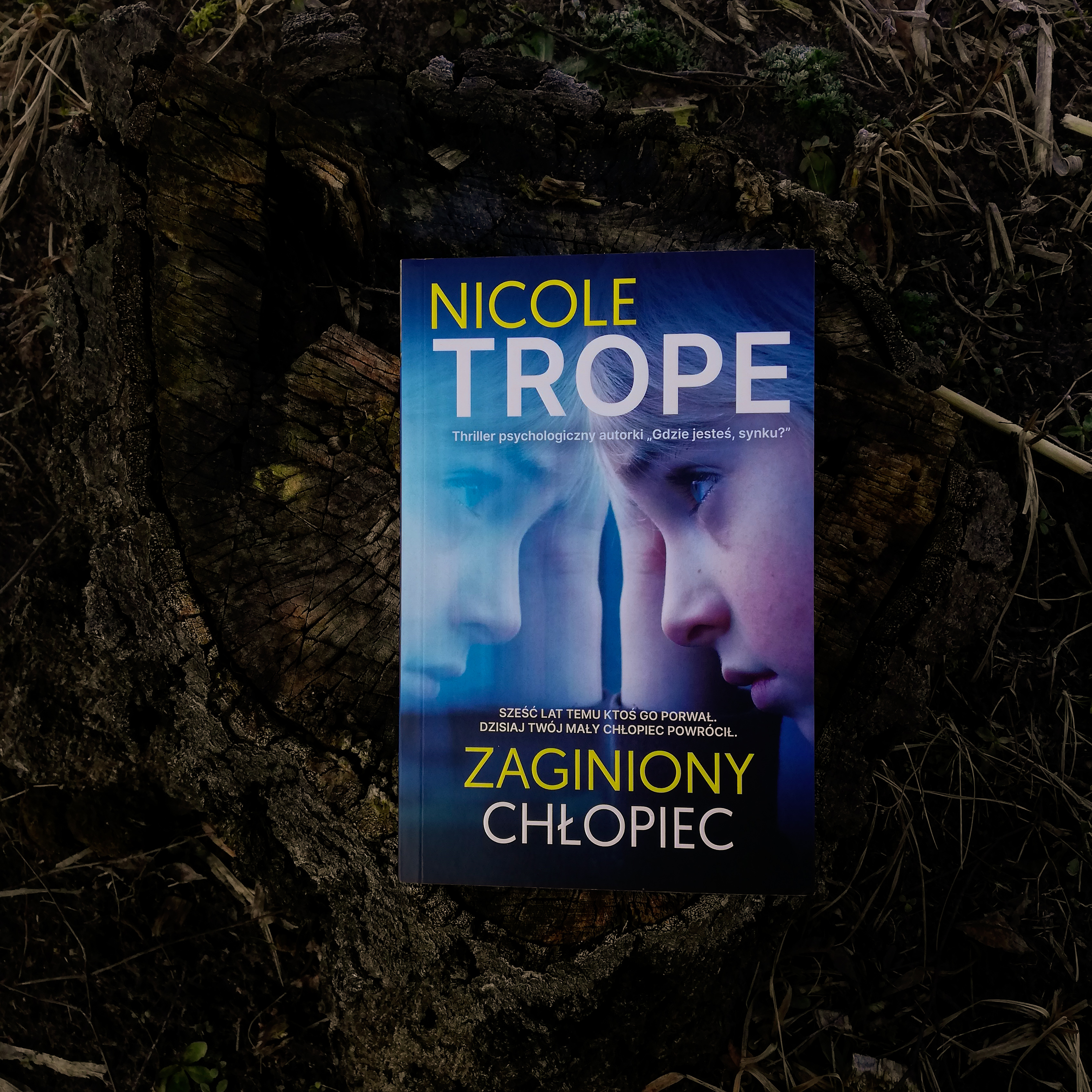 Recenzje książek: Zaginiony chłopiec - N. Trope # 192