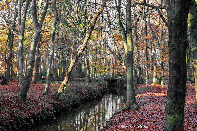 www.jetjesdag.nl | Mari Kapteijns fotografie | De Stabrechtse heide |