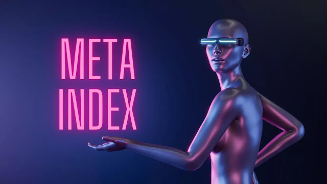 Meta Index | What is Metaverse and it's future