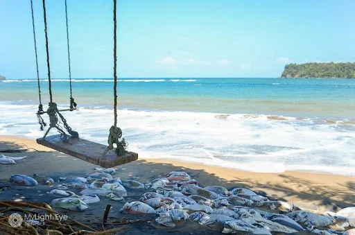 Fasilitas Wisata di Pantai Tamban Malang