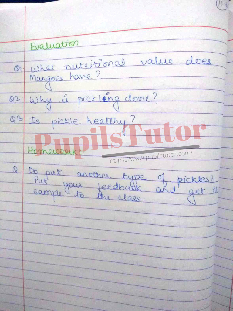 Home Science Lesson Plan On Mango Pickle For Class/Grade 7th To 9 For CBSE NCERT School And College Teachers  – (Page And Image Number 3) – www.pupilstutor.com