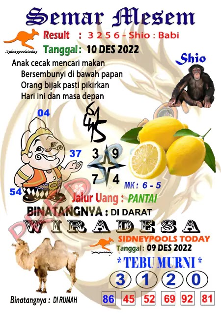 Prediksi Semar Mesem SDY Hari Ini JP 10 Desember 2022