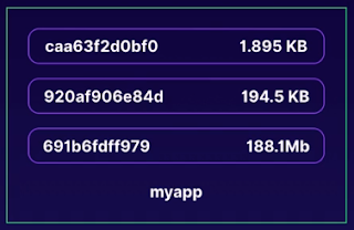 The layers are in reverse order, as it's best to imagine Docker building up adding layers from the bottom to the top. Each layer gets its own unique ID. The first and largest layer is our inherited Ubuntu image. The next layer at about 195k is where we've copied in our application files. The top most layer, represents what changed when we run the make command inside the image. The real benefit to developers here is containers promotes smaller shared images. If we make a change to this container, only the layer that has changed has to be updated. Built updates might only be a few kilobytes of changes. By inheriting images, we can remain consistent in our bills, and avoid reinventing the wheel with every image we create.  algaestudy