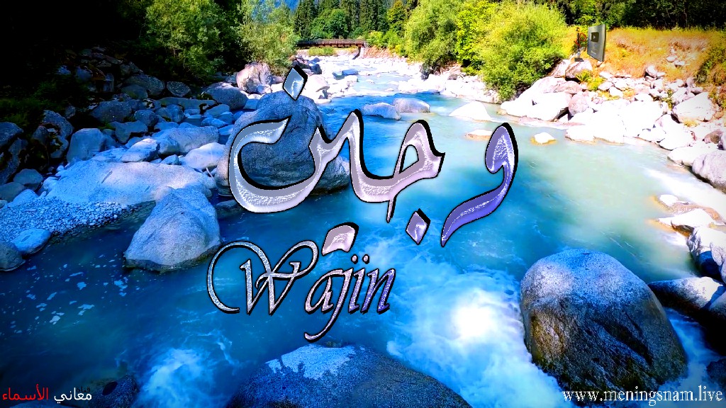 معنى اسم, وجين, وصفات, حاملة, و حامل, هذا الاسم, Wajin,