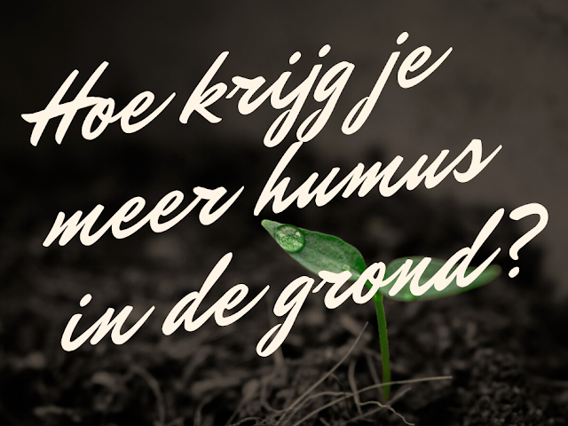 Hoe krijg je meer humus in de grond?