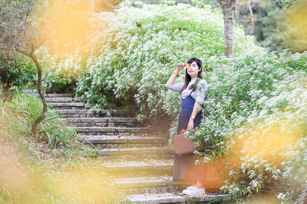 台中新社桃李河畔黃楓白雪木步道好浪漫，白色城堡隱藏在森林中