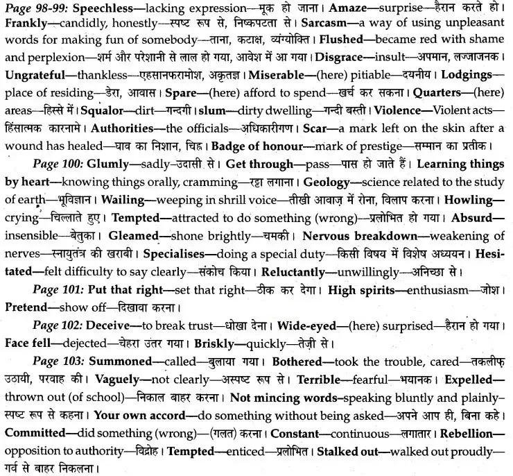 MP Board Class 12th English A Voyage Solutions Chapter 14 Albert-Einstein at School (Patrick Pringle)