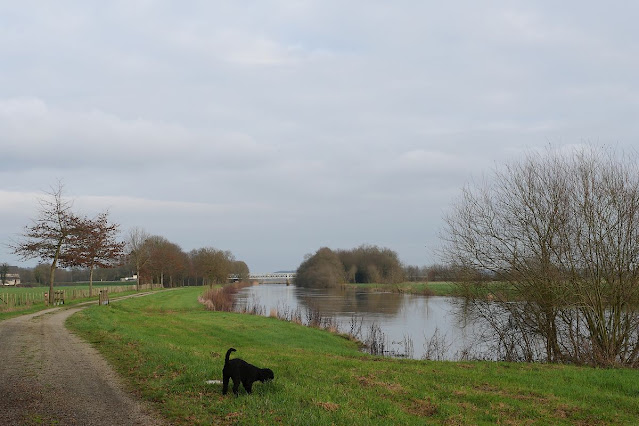 Petits bateaux de pêche sur la Vilaine à Pont-Chéan, à la Chapelle de Brain