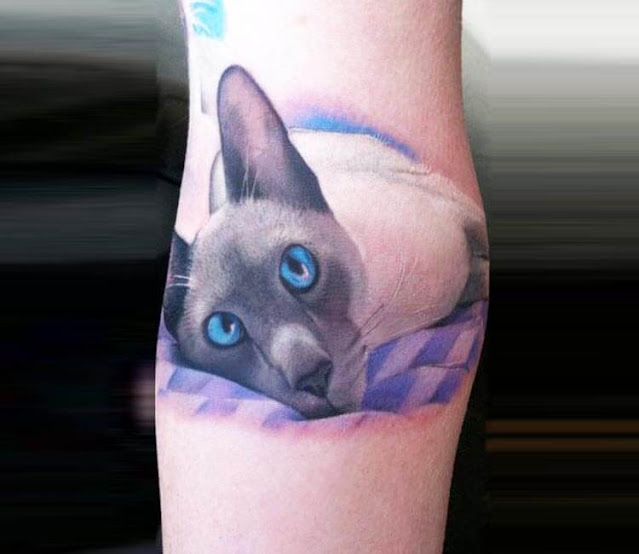 Tatuagens femininas de gatos - 40 fotos e modelos para se inspirar