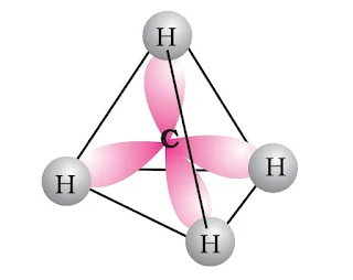 Hydrocarbons Class 11 Notes