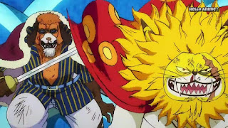 ワンピースアニメ 997話 ワノ国編 | ONE PIECE ネコマムシ NEKOMAMUSHI | イヌアラシ  INUARASHI