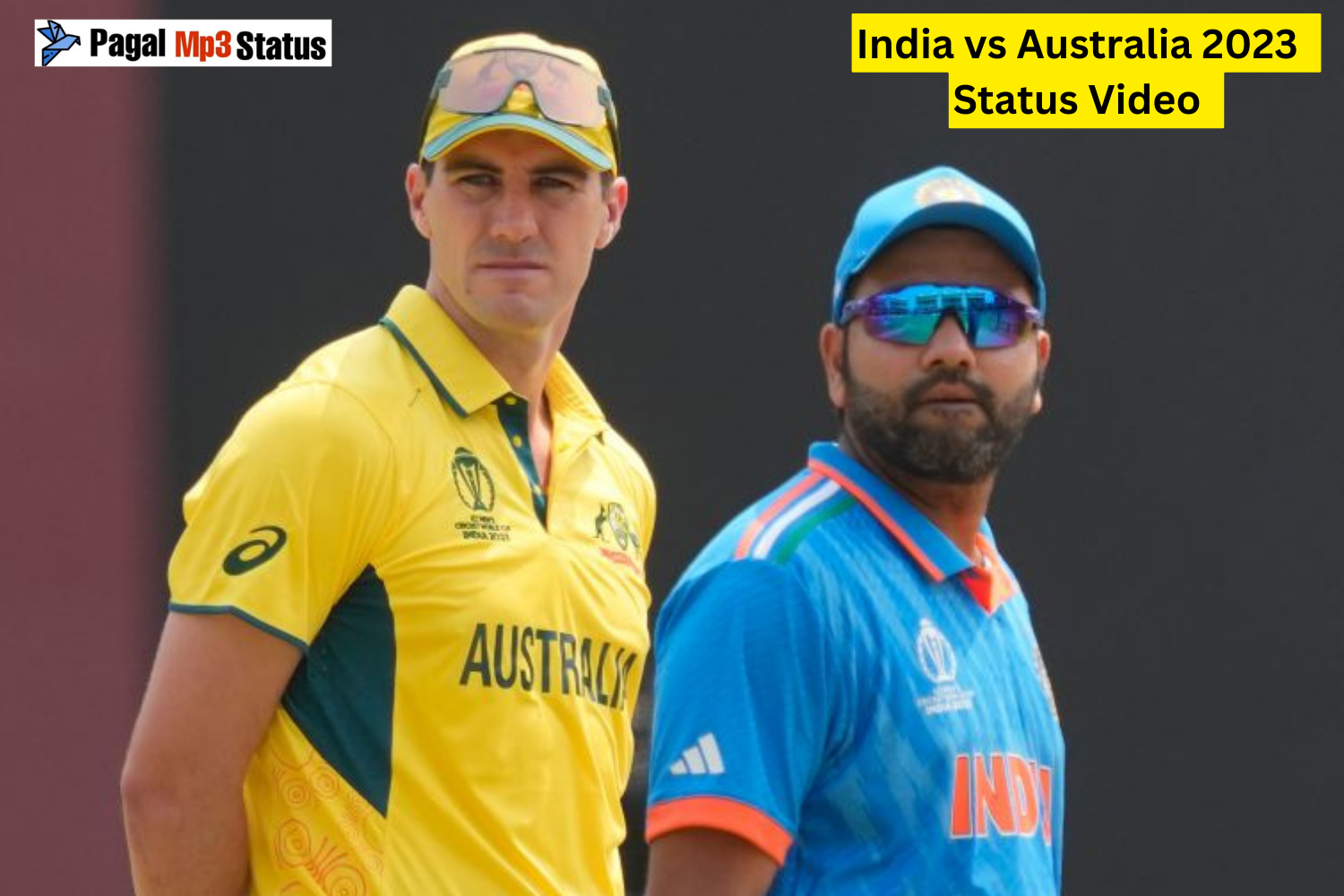 India vs Australia Status Video