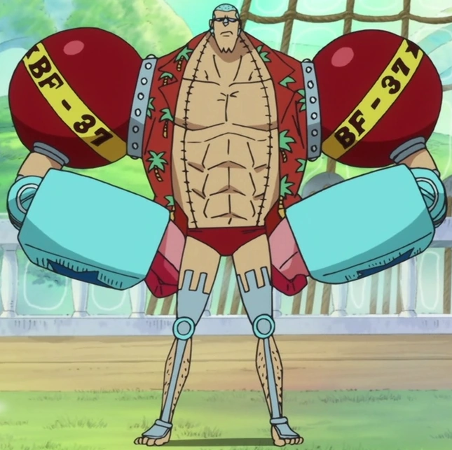 Franky One Piece Karakteri