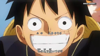 ワンピースアニメ ワノ国編 主題歌 OPテーマ ルフィ 笑顔 Monkey D. Luffy | ONE PIECE