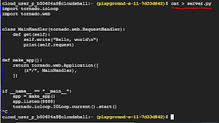 Change directory to myapp using cd myapp Build your first container image  See all the images created using Get the container id with below command To see all running containers use docker ps Test the application using curl command Check whats there in containers using Enable google container registry api 🡪 enable  Now we can tag the image and push in container registry gcr.io algaestudy klassroom.algaeservice  algaeservices