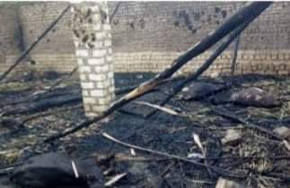 نفوق رؤوس ماشية بسبب اندلاع حريق في حوش بـ سوهاج