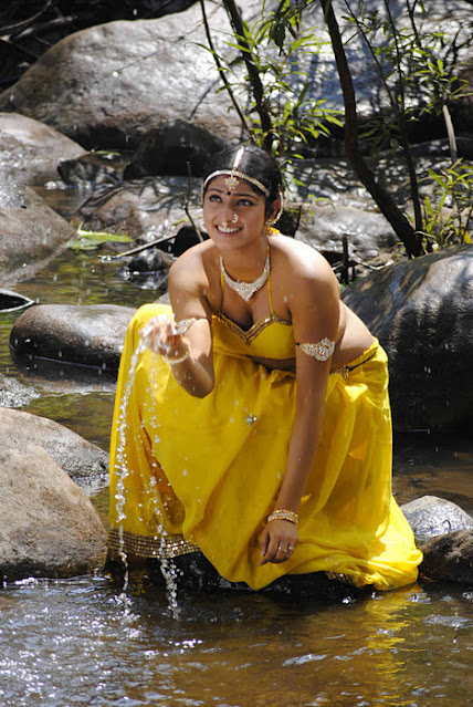 Kannada Actress Hari Priya Latest Hot Stills In Saree 4