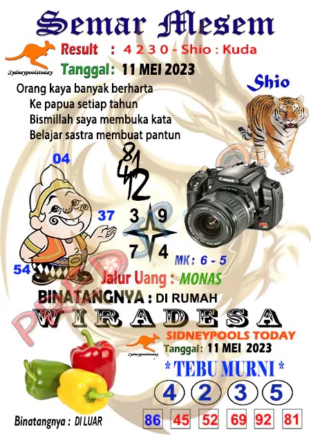 Prediksi Semar Mesem SDY Hari Ini JP 11 Mei 2023