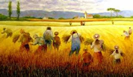 CURSO DE DIÁCONOS IMVC (COM APOSTILA)